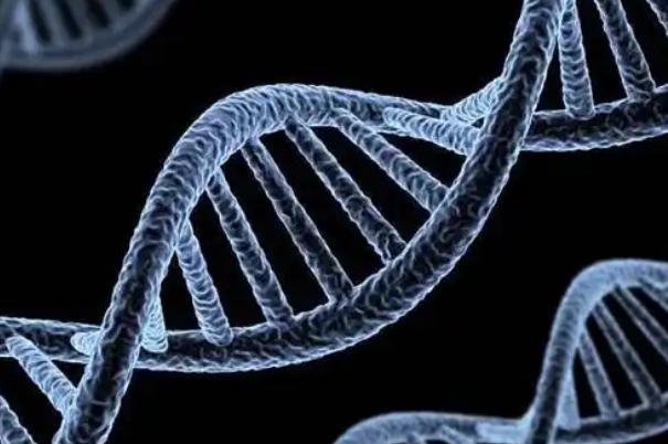 男方基因有问题想生健康宝宝做第三代试管婴儿有用吗?