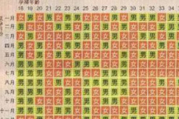 清宫图和染色体无关
