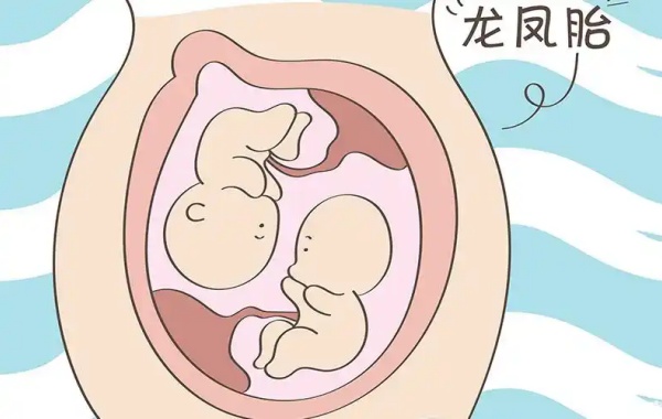 盘点除了试管还能怎么怀龙凤胎，可以使用促排药物