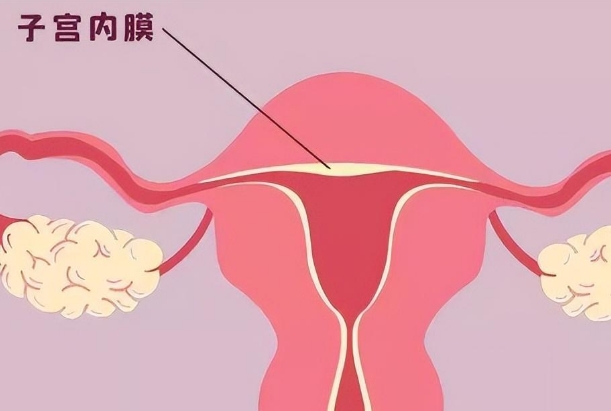 内膜6试管移植成功经验，找对方法胚胎也能顺利着床