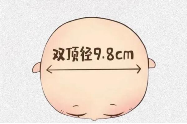 遗传因素会影响双顶径的大小
