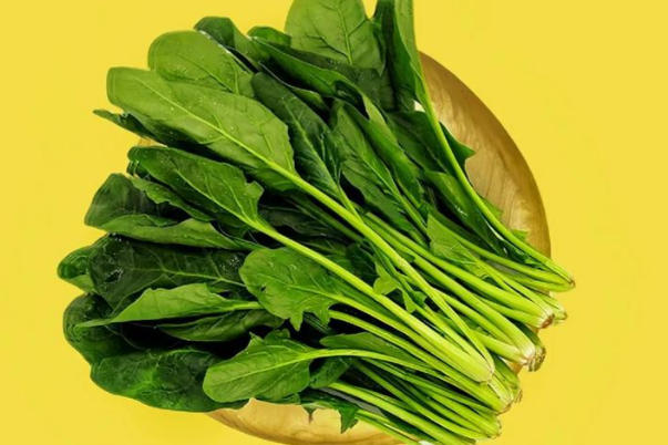 备孕吃菠菜有利于胚胎发育