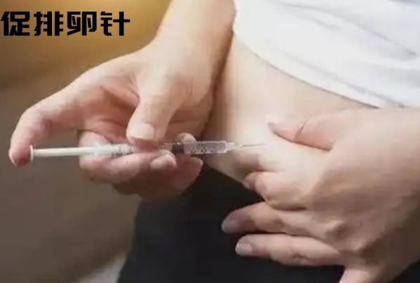 促排后是否怀孕因人而异