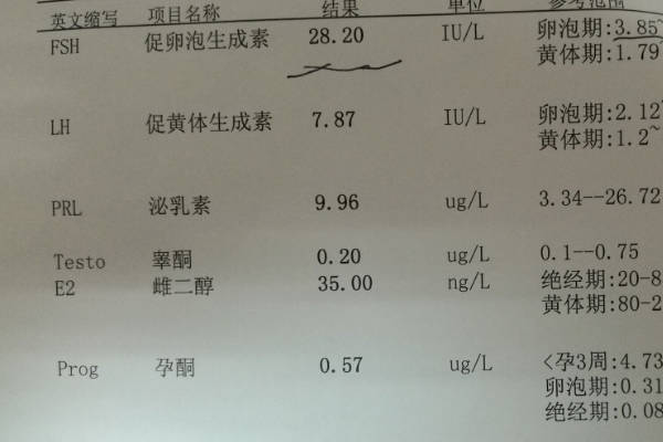 AMH正常范围在2-6.8ng/ml之间