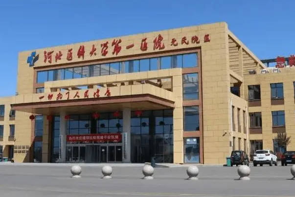 河北医大一院做试管怀男孩要花5万