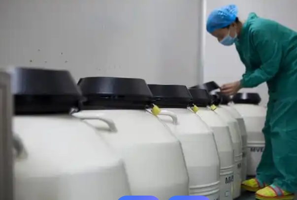 试管婴儿胚胎储存在-196℃液态氮中