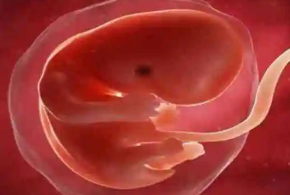 移植21天胚胎长稳了吗？一文告诉你关键时间点和注意事项