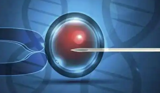 2025年做三代试管婴儿的价格指南分享，一手掌握各个阶段的助孕开销