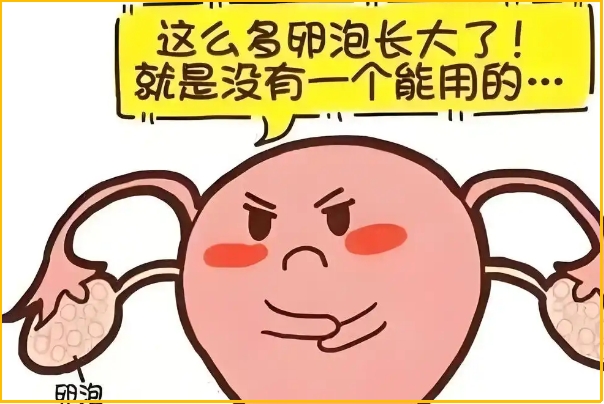 多囊患者备孕期间饮食要注意
