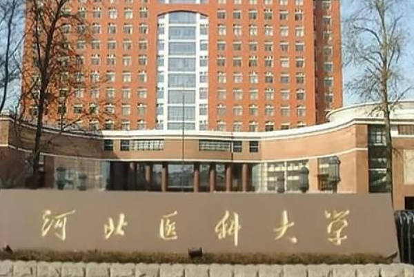 河北省生育技术研究院试管成功率高