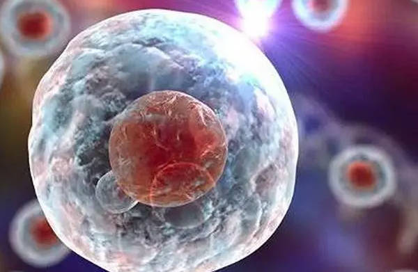 胚胎等级高可能会成功