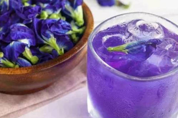 孕妇喝蝶豆花泡水会刺激子宫