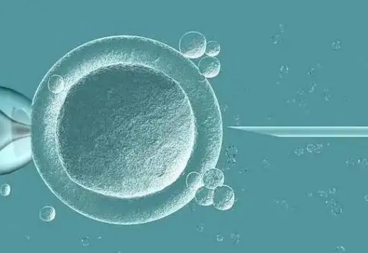 新桥医院试管婴儿成功率预估，单周期可达45％-55％左右