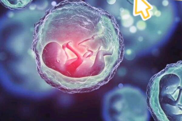 超长方案需要降调2次