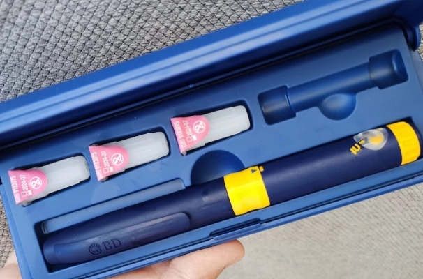 优质蛋白质有利于卵泡健康发育