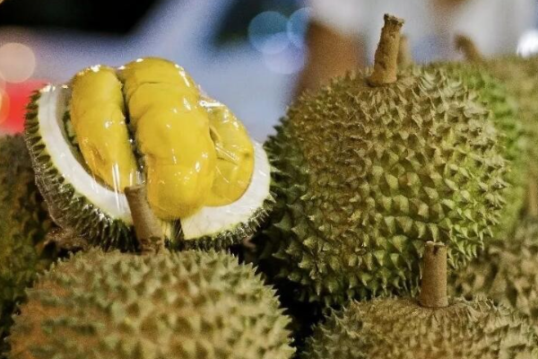 孕妇吃榴莲易流产