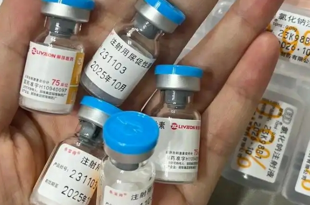 打尿促可以促进卵泡的发育