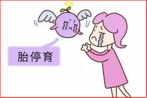 怀孕初期刚发现胚胎停止发育还能继续拯救一下吗？