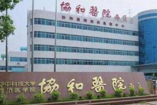 华中附属协和医院可以做供卵试管