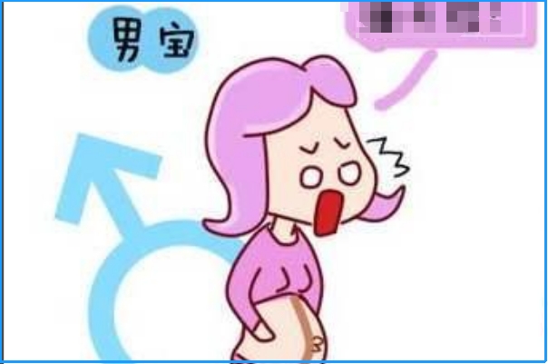 精子的类型会决定胎儿的性别