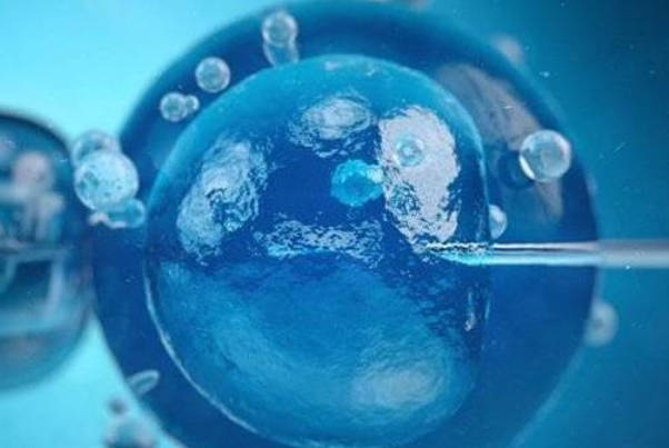 天津爱维医院试管婴儿费用明细，附冻胚移植要多少钱