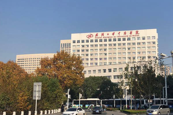武汉大学中南医院的试管技术很好