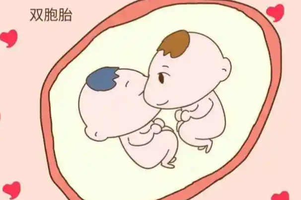 高龄通过试管可以怀双胞胎