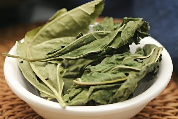 夫妻双方备孕期可以用桑叶泡水饮用吗？