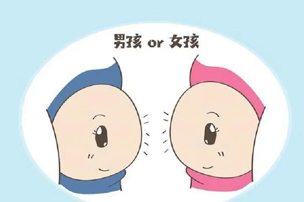 怀孕上身早和上身晚看胎儿性别有什么说法吗?