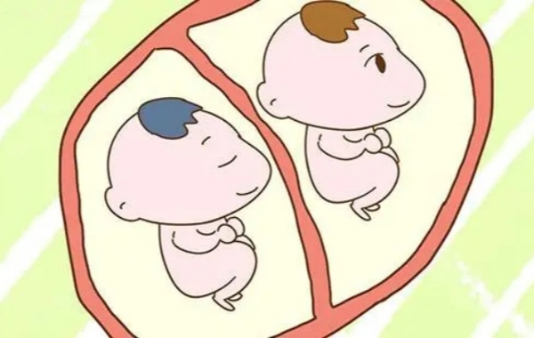 网传什么体质的女性容易怀龙凤双胞胎呢？