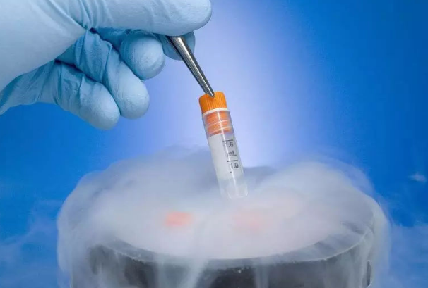 试管成功怀孕后剩余的囊胚不处理有什么后果？
