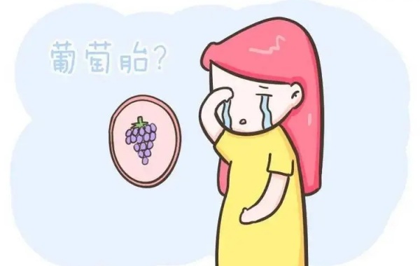 国内做第三代试管移植的囊胚可以预防葡萄胎吗？
