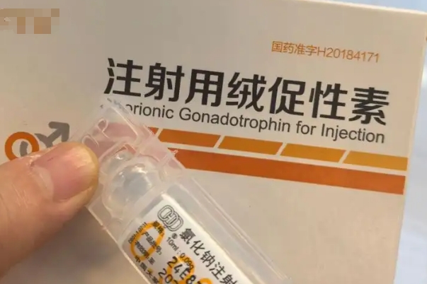 打完绒促针一般在36小时内排卵