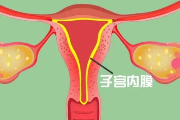 试管降调可以促进卵泡发育
