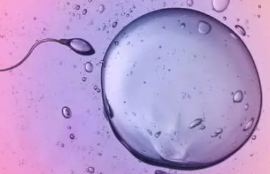 扬州三代试管婴儿费用明细全在这，试管价格一目了然
