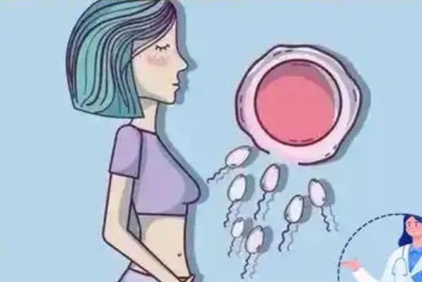 排卵日黄金法则生个男孩，科学真相与人间烟火