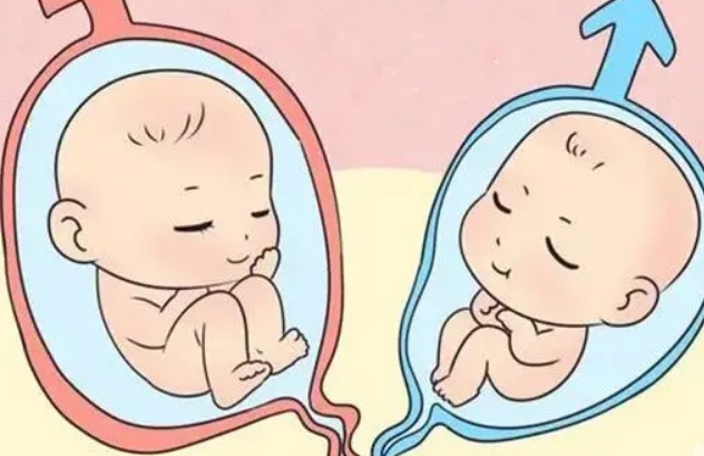 有没有已经生过的宝妈验证一下清宫表测男女到底准不准？