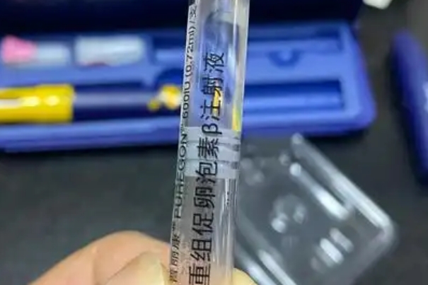 试管长方案周期一般是一个月左右