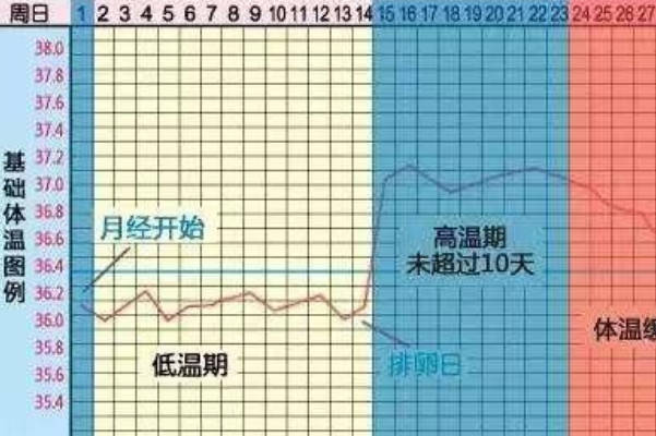 计算预产期不一定全靠b超监测