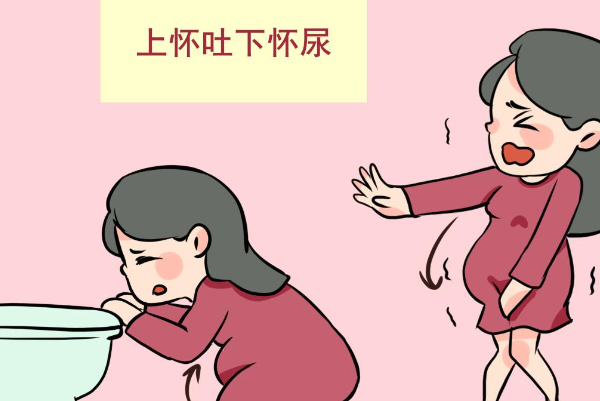 下怀孕妇更容易尿频