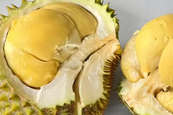 备孕期间准爸妈们可以每天吃一些榴莲吗？