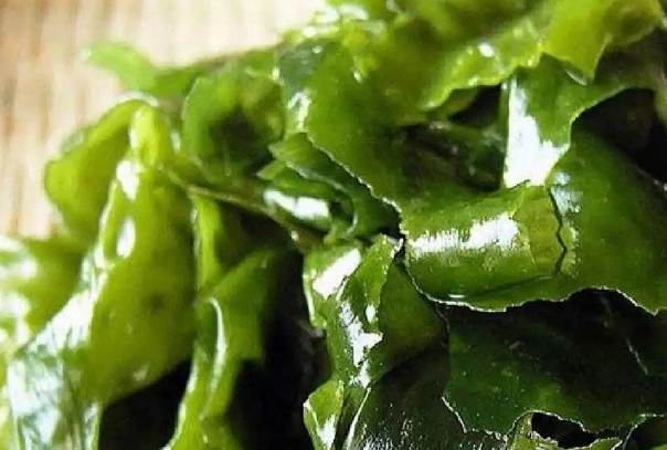备孕期间吃裙带菜，不仅可以补充碘元素还含天然叶酸