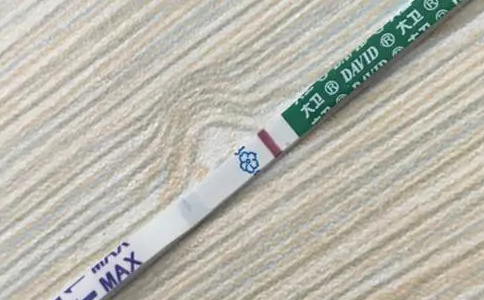 早孕试纸只有一条红杠