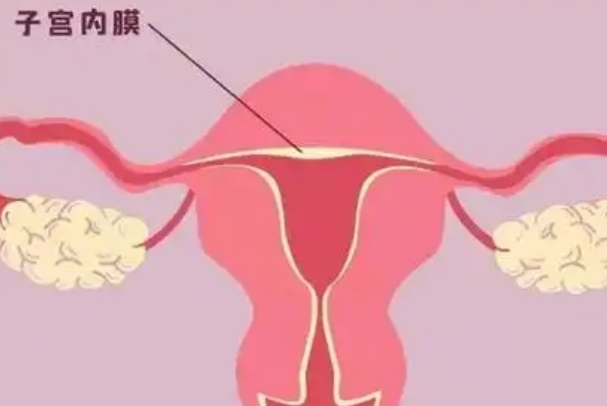 移植前内膜8-13mm比较好