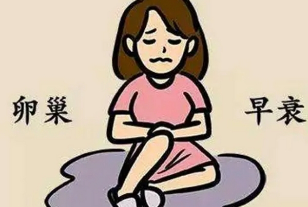 卵巢功能不好会影响试管的成功率
