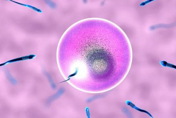 心理准备有利于试管治疗