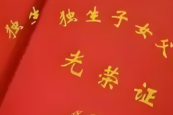2024年独生子女的政策补贴有哪些？