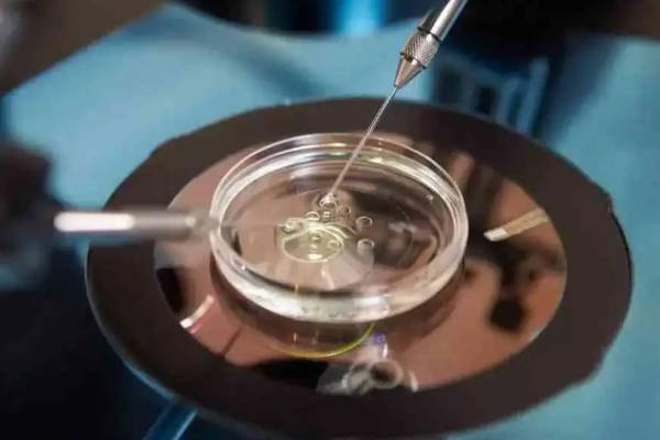 做一次供卵试管就成功的经验总结！提前调理好身体非常关键
