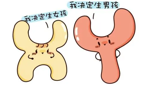 备孕生男孩的科学方法，夫妻共同努力才能事半功倍