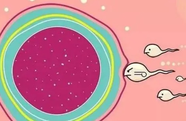 试管的畸形率与自然怀孕相似